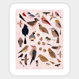 Sonoran Birds Sticker